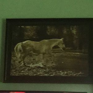 Meet your Posher, Patti